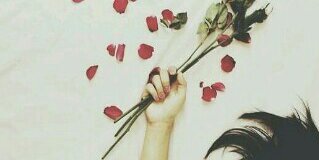 Rullyapril's profile banner image