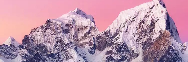 TheTweetPlug's profile banner image