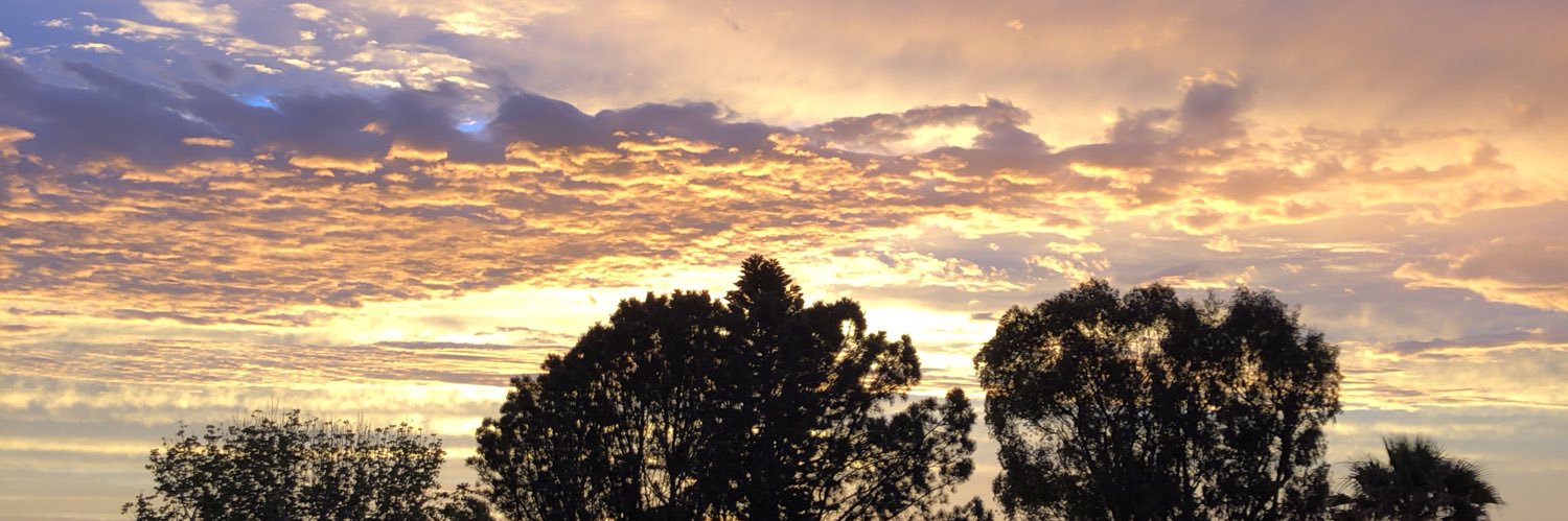 TheyCallMeWads's profile banner image