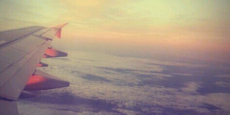 BluebirdChick86's profile banner image