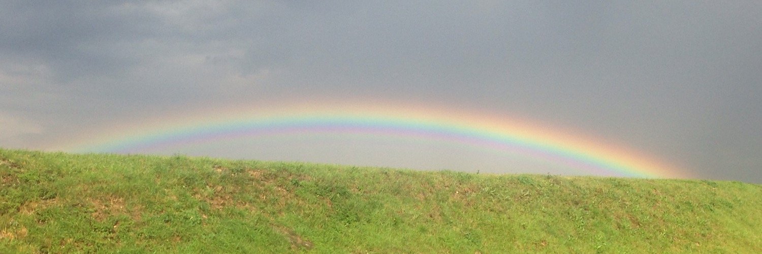 ZoeShenton19's profile banner image