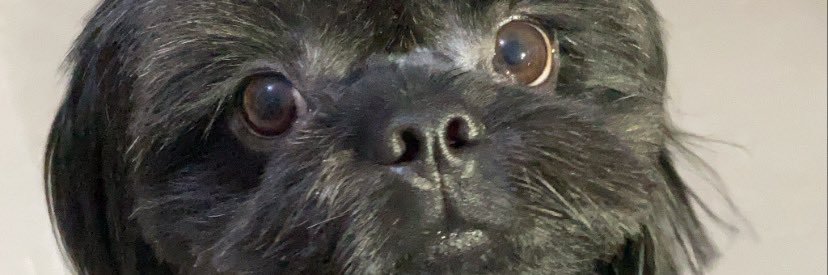 Olaaafff's profile banner image