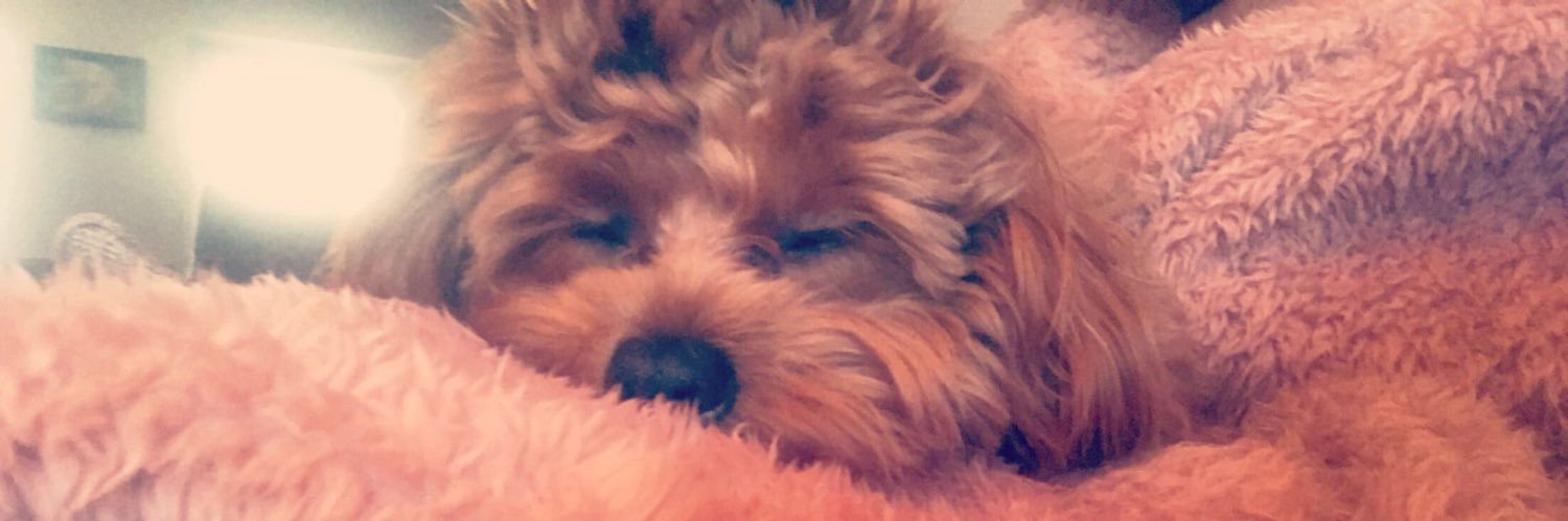 ChanelleC_x's profile banner image