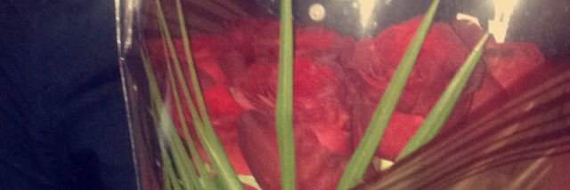 amel_brb's profile banner image