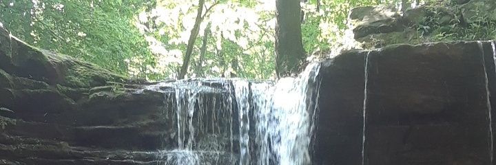 Dirty Debonair banner