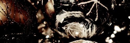 StrippingBeta's profile banner image