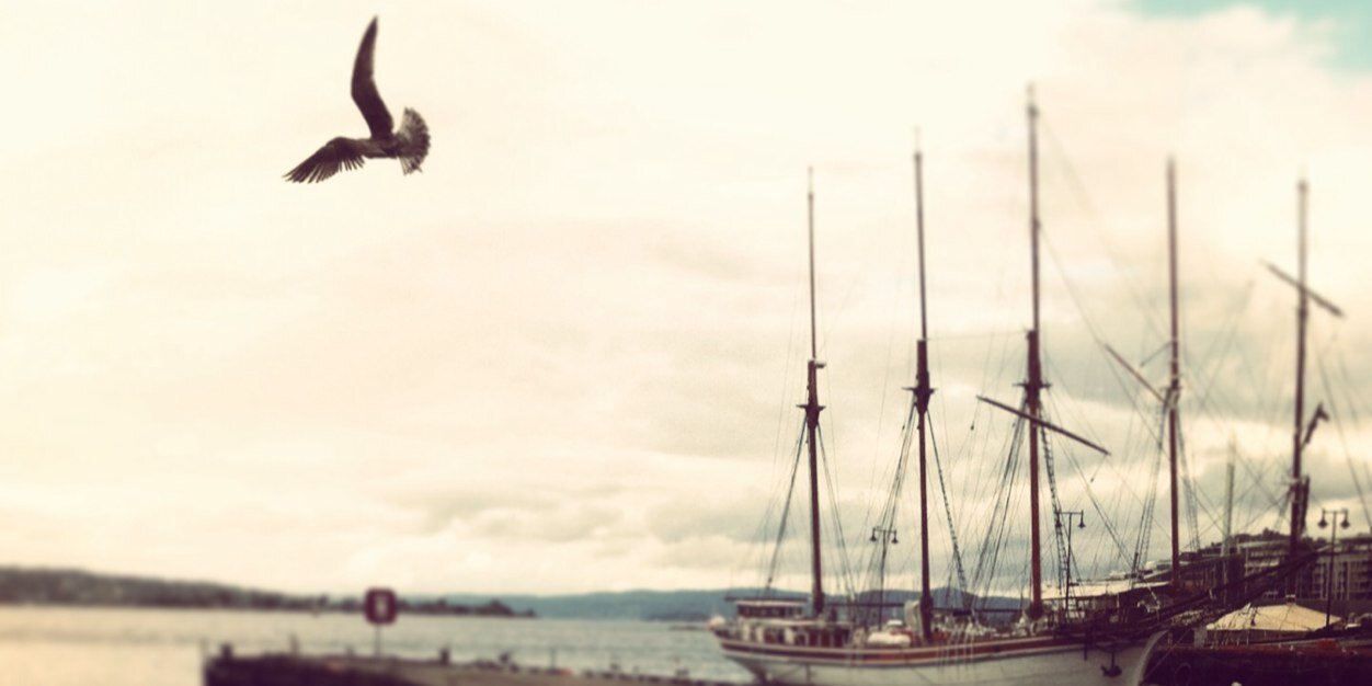 eliot_payne's profile banner image