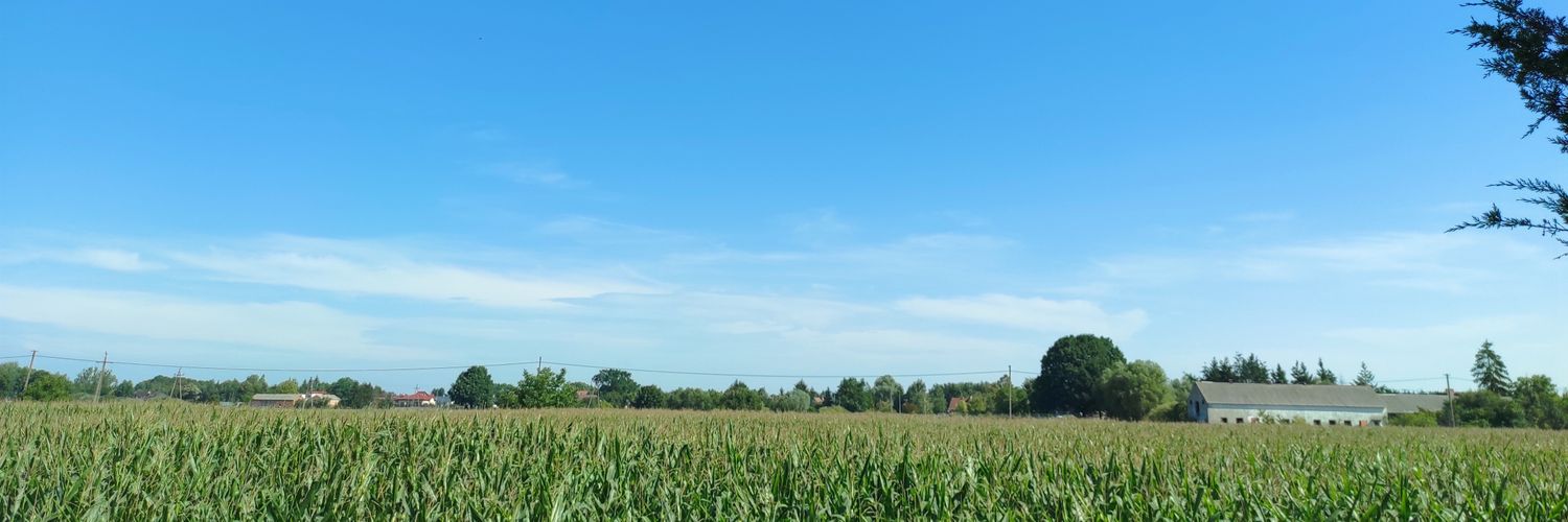 stmav's profile banner image