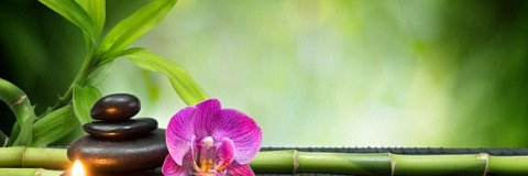 OrganicProductB's profile banner image