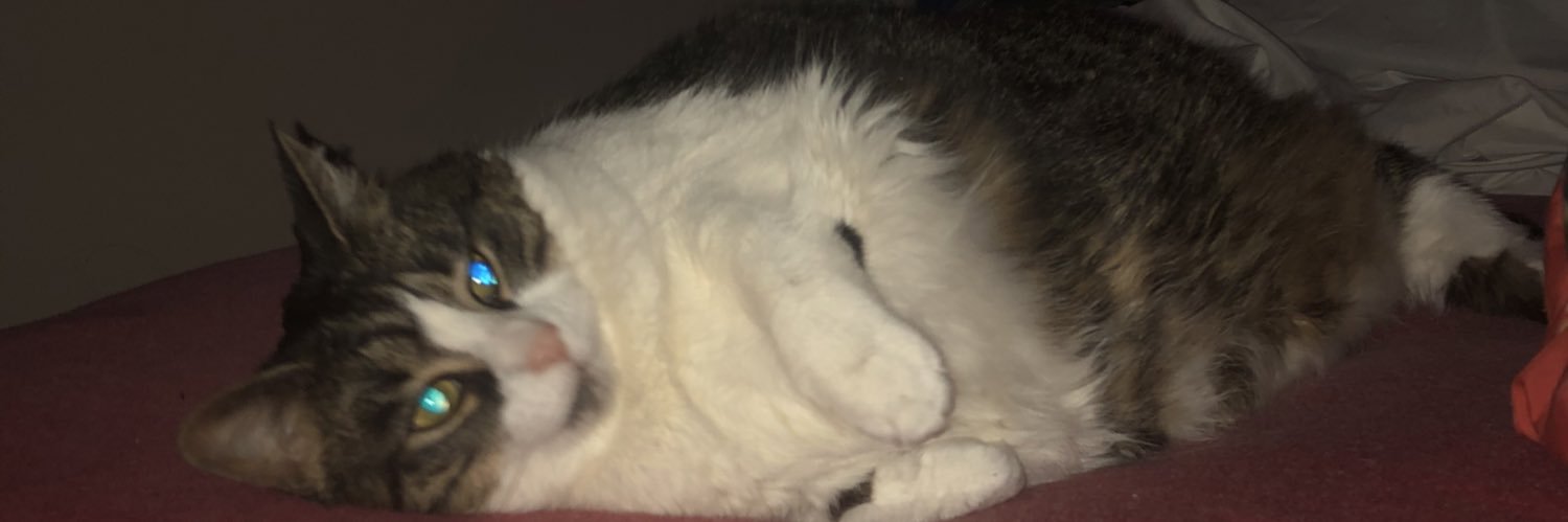 tombatxcore's profile banner image