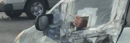 alice eldridge fan account banner