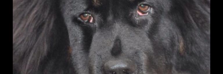 EttaMaggio's profile banner image