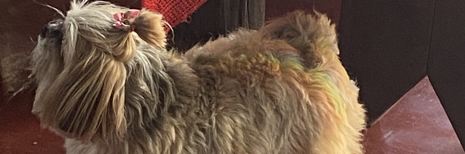 dieguesmd's profile banner image