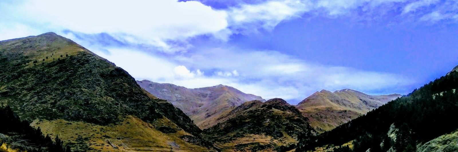 CELlinarsValles's profile banner image