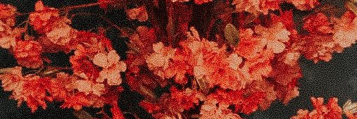 z banner