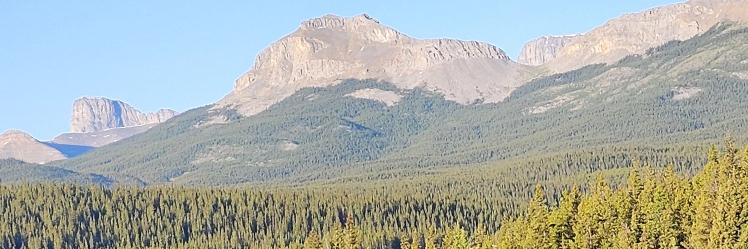 BryanJGross's profile banner image