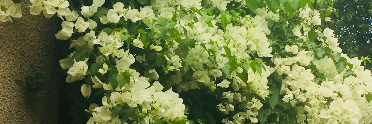 azar_rita's profile banner image