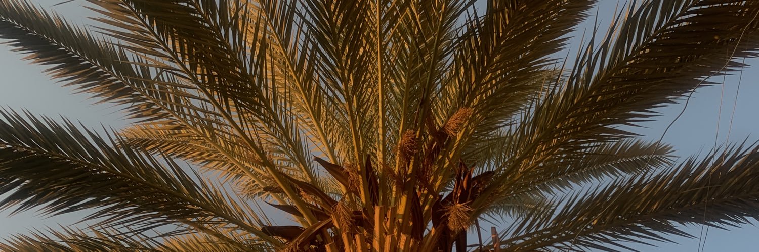 Samira_Hado's profile banner image
