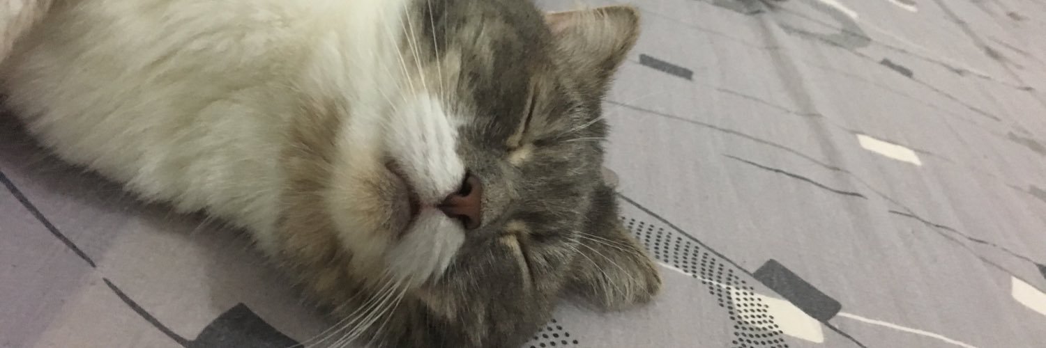 li0zoe's profile banner image
