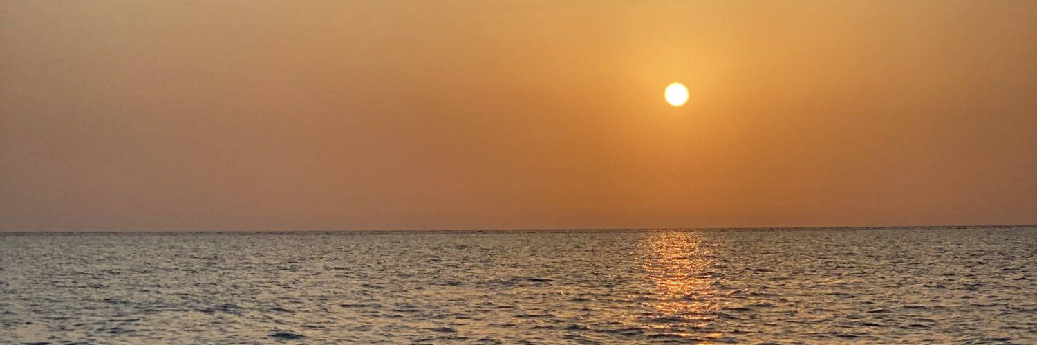raas99's profile banner image