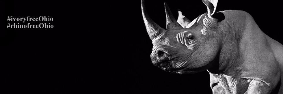 IvoryFreeOhio's profile banner image