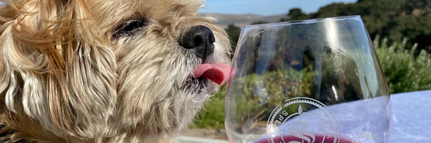 Andrew Napier banner