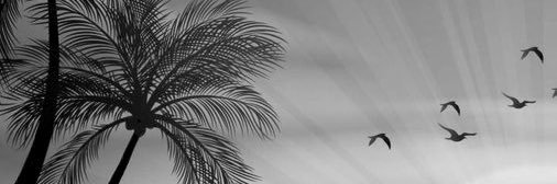 f3ranmi_'s profile banner image