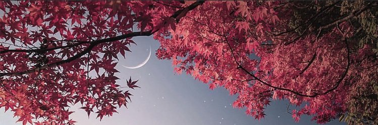 AlexBelda_'s profile banner image