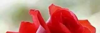 thebintangtimur's profile banner image