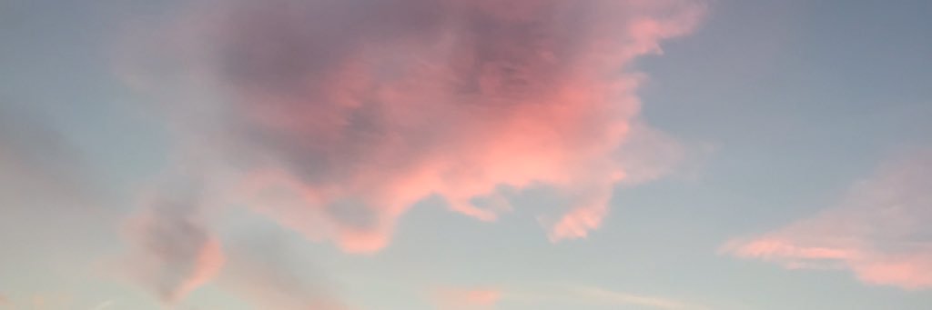 LBonareu's profile banner image