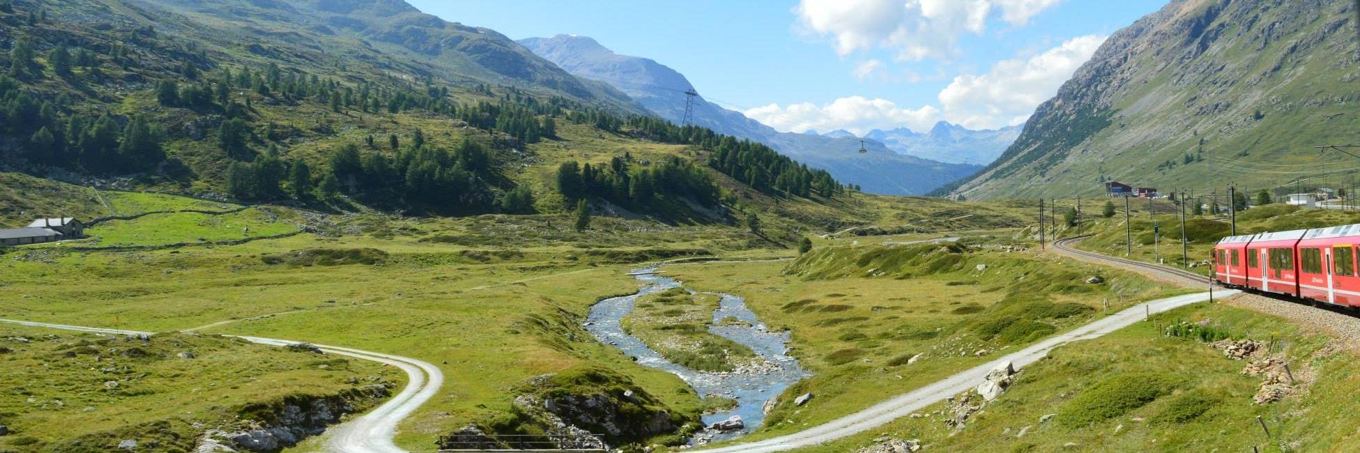 Thomas Rodgers banner