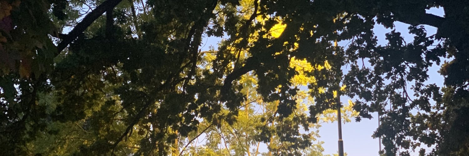 ItsIsse's profile banner image