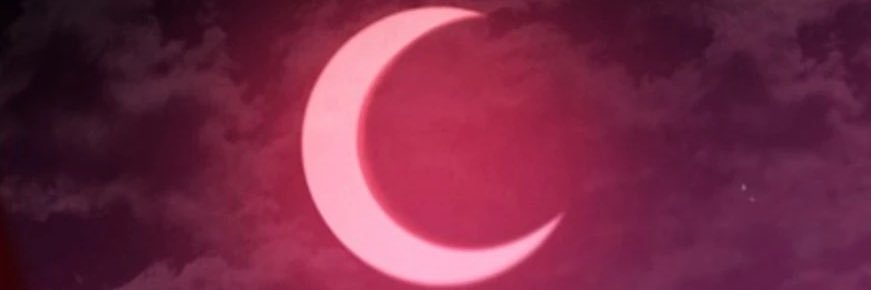 thedonempress's profile banner image