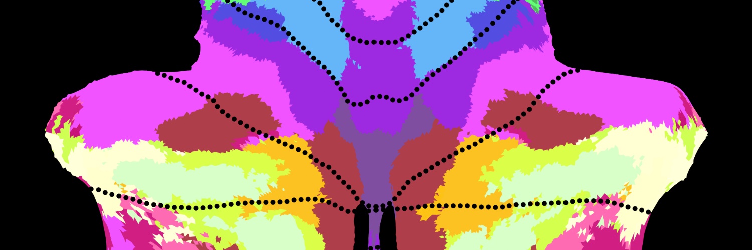 Caroline Nettekoven 🧠's banner