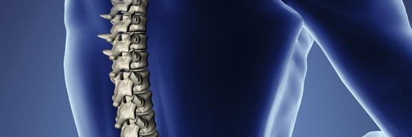 BoneDensityAust Profile Banner