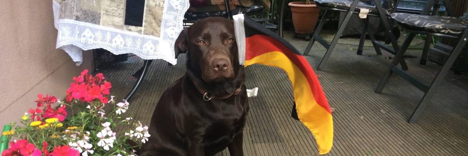 Patchi von Löwenstein 🇮🇱 ✡️🇩🇪 🕊️ banner