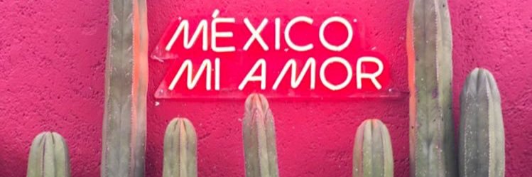 marielagarza's profile banner image