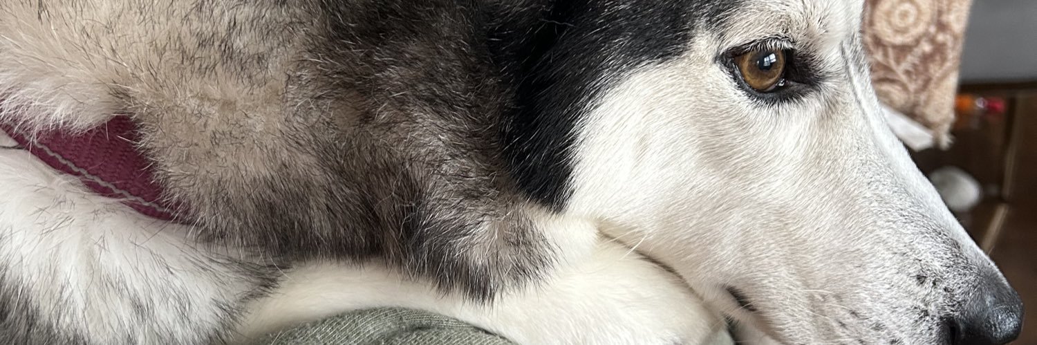 PaigeHowell007's profile banner image