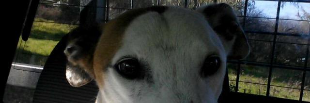 kakehole18's profile banner image