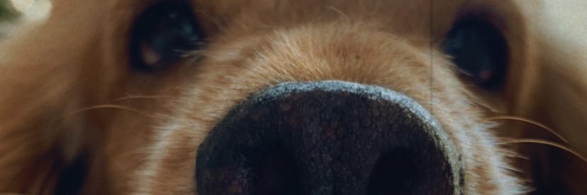 TaahRodrigues's profile banner image