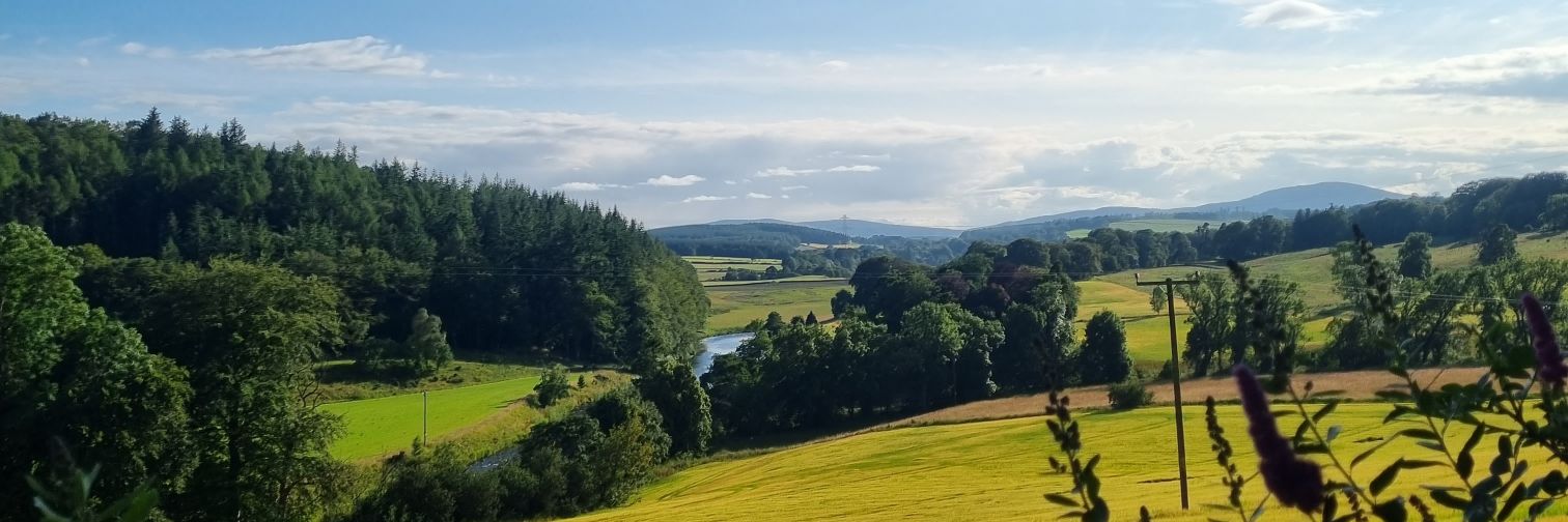 BOYMorrison's profile banner image