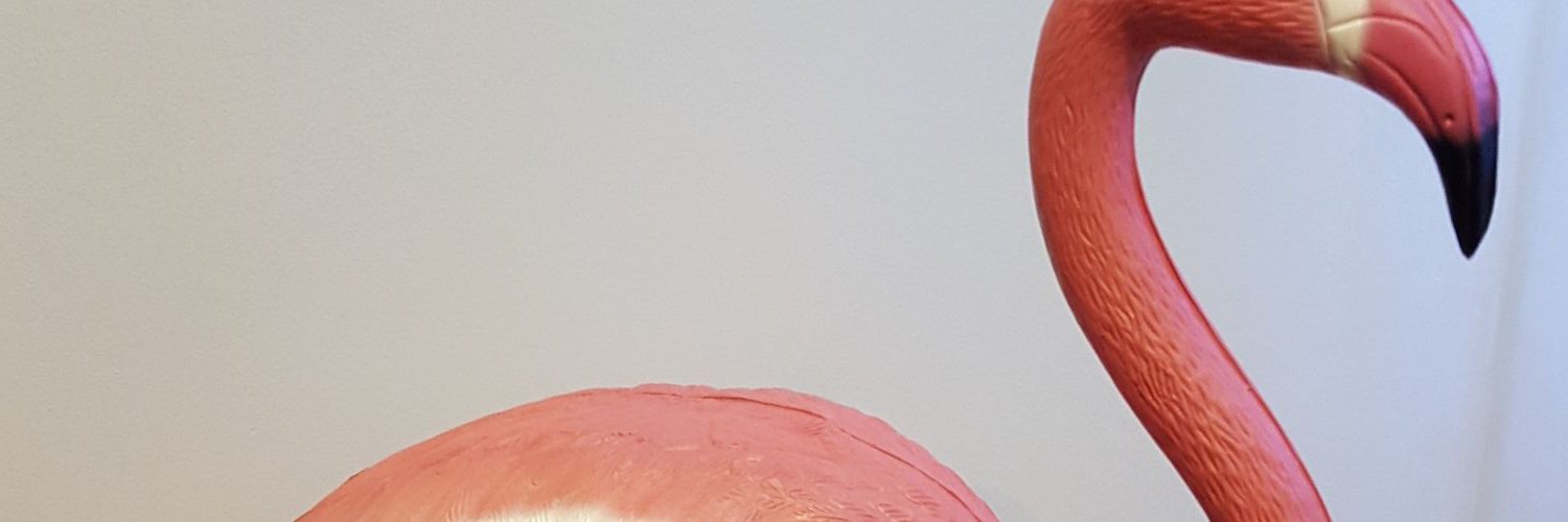 sandroazorin's profile banner image