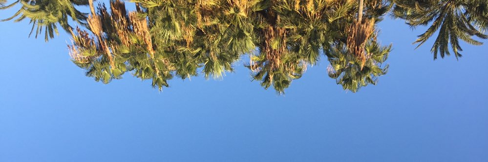 NityaF's profile banner image