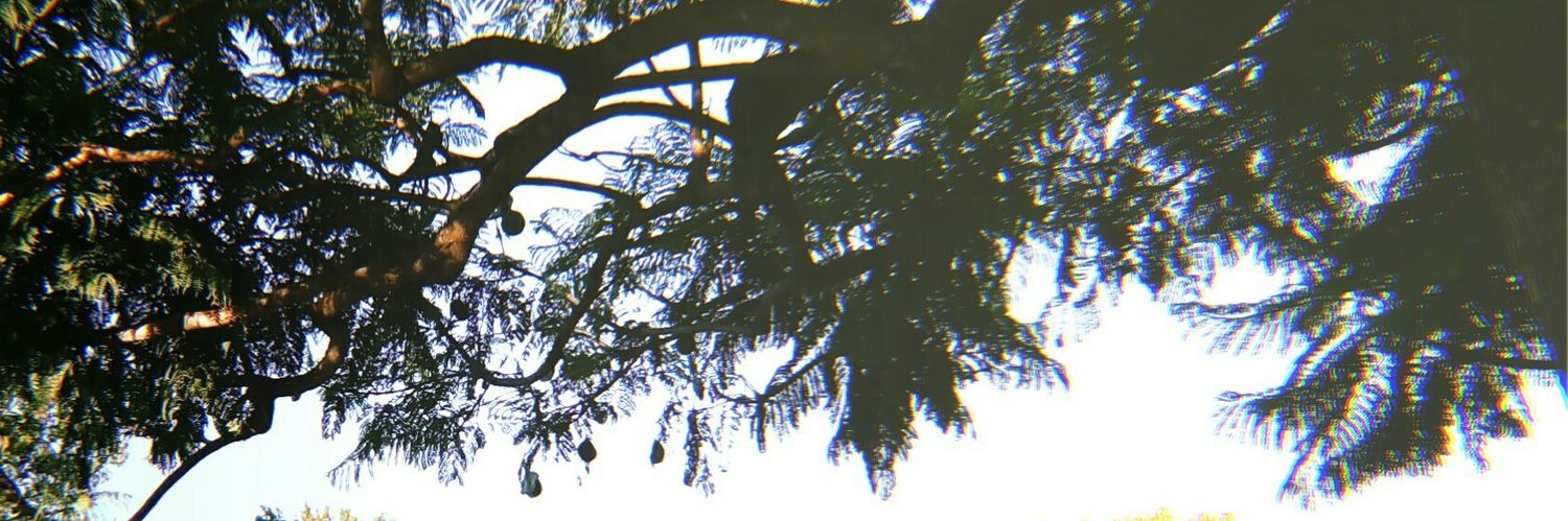 sxrahfk's profile banner image