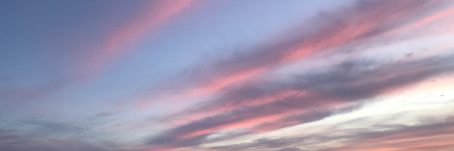 sadiesmithx's profile banner image