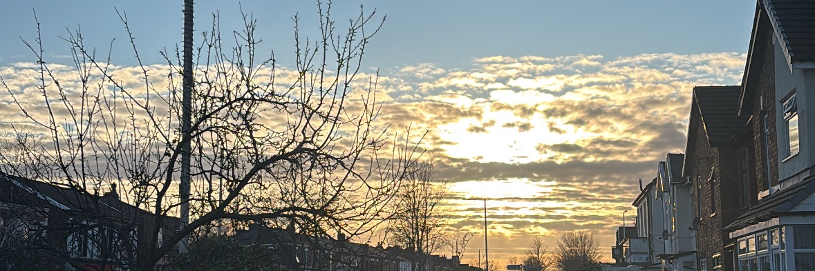 kathrin shawcross banner