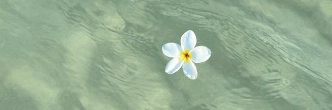 madhbeer's profile banner image