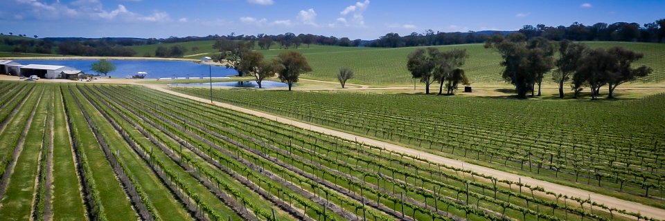 WineNSW's profile banner image