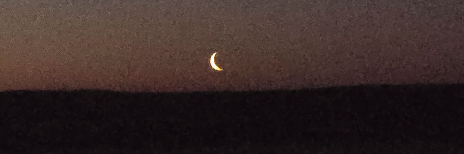 Hannu Blomster banner