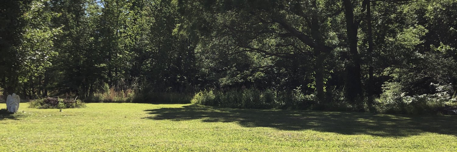 Swooshs's profile banner image